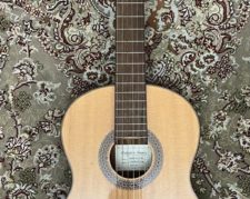 گیتار کلاسیک ibanez salvador