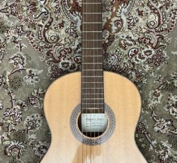 گیتار کلاسیک ibanez salvador